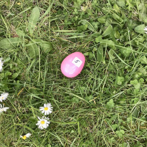 Picture of pink plastic Easter egg with number five